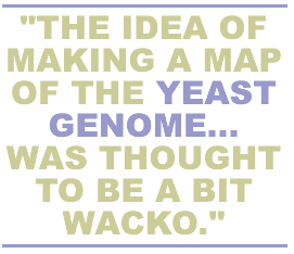 The idea of making a map of the yeast genome... was thought to be a bit whacko.