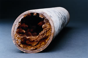 A cross section of a corroded pipe taken from Johnson Hall. Photo by Kathy Sauber.