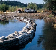 Sandbags mark the new meandering channel of North Creek that was cut into the former pastureland. Photo courtesy Lyndon C. Lee & Associates.