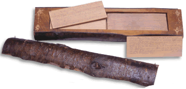 The UW's very first student yearbook was carved into a hunk of an alder log in 1894. Photo by Babcy Hines.